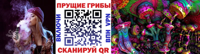 Галлюциногенные грибы мухоморы  Купить закладки  Сатка 